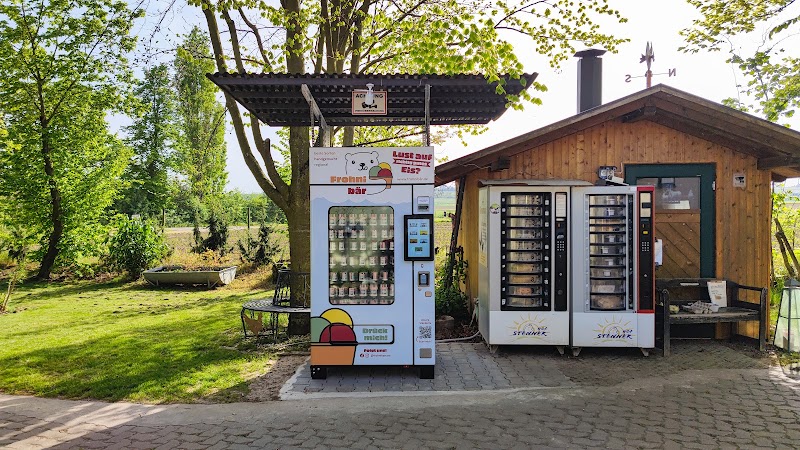 Frohnibär Eisautomat | Mainz Bretzenheim